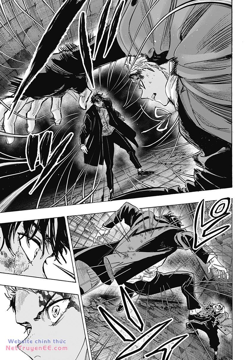 page_8.jpg