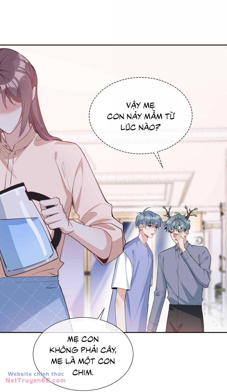 page_28.jpg