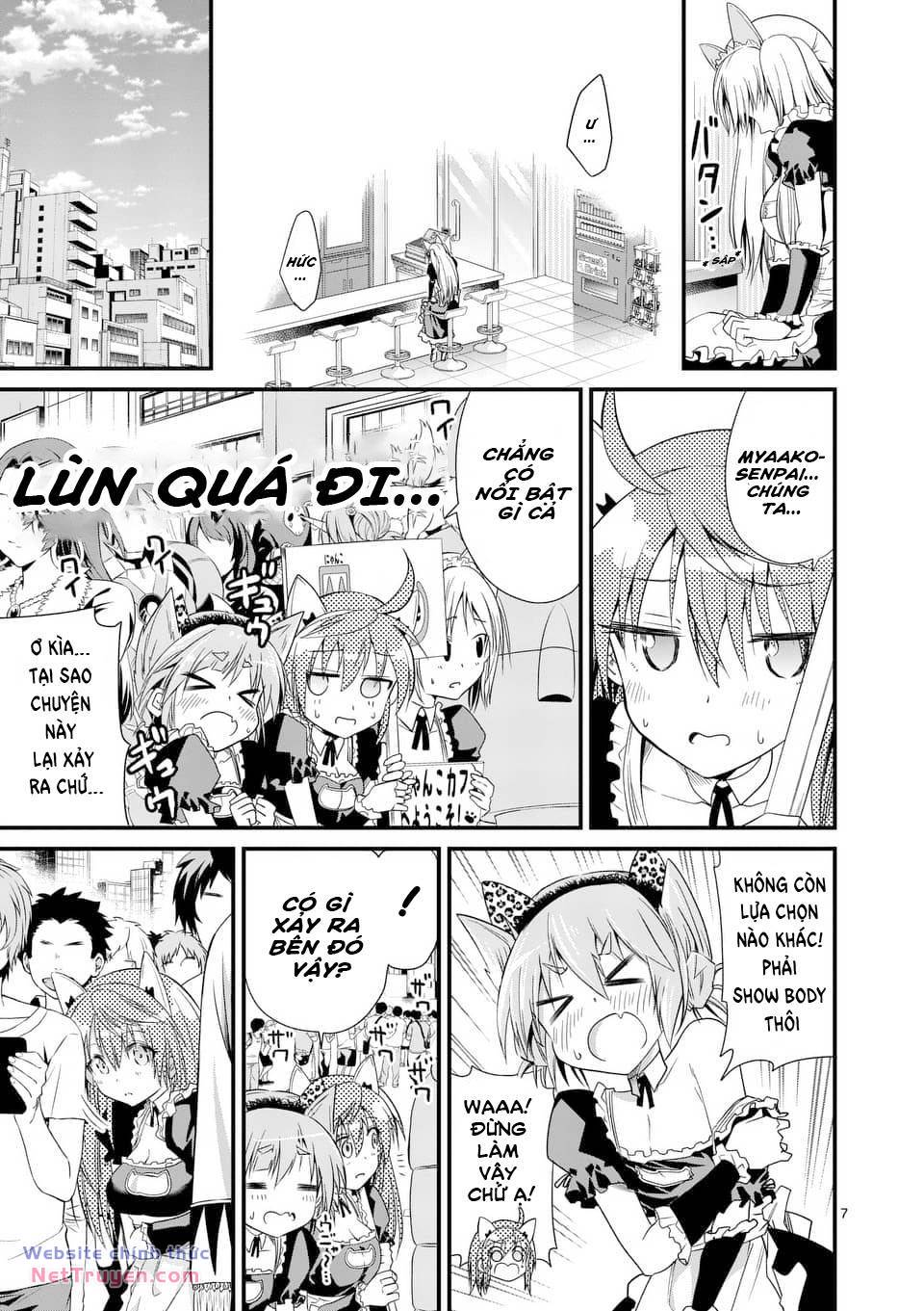 page_17.jpg