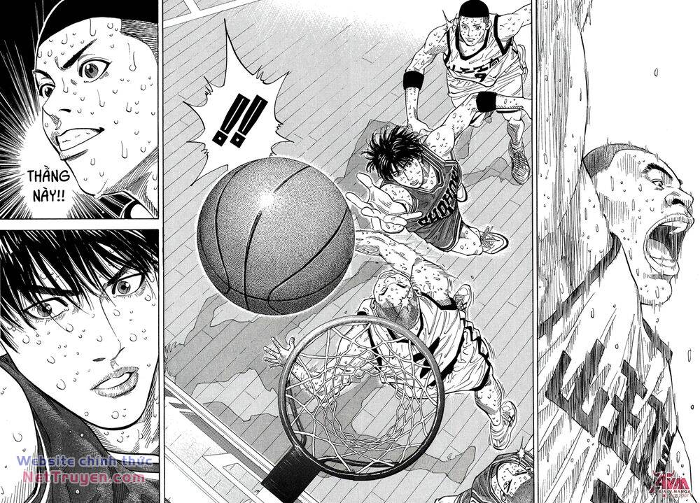 page_16.jpg
