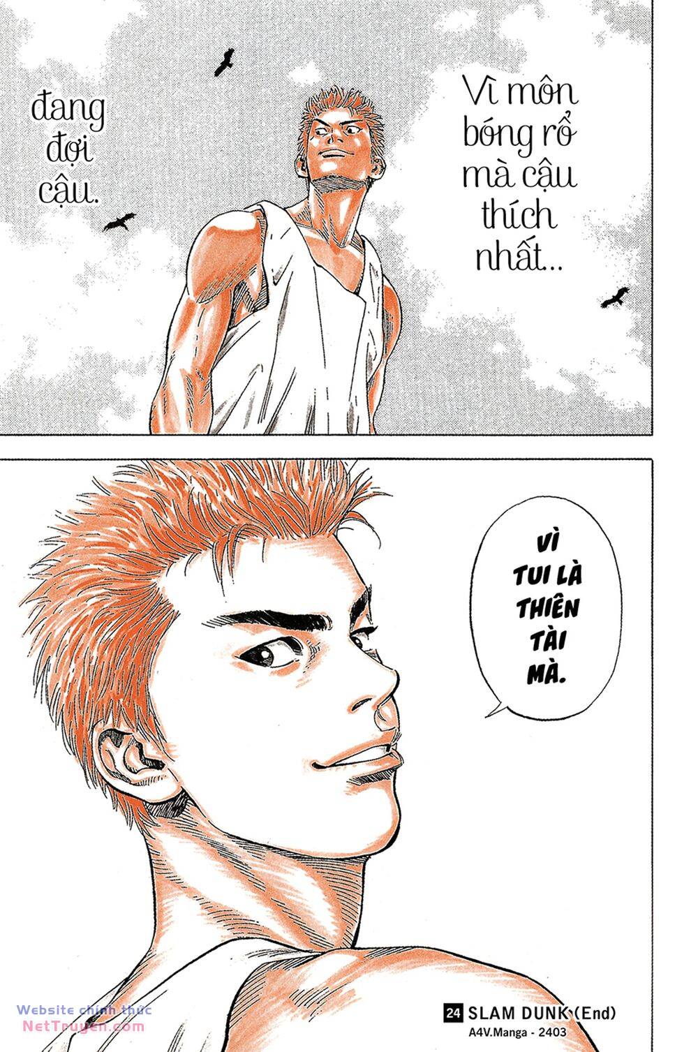 page_17.jpg
