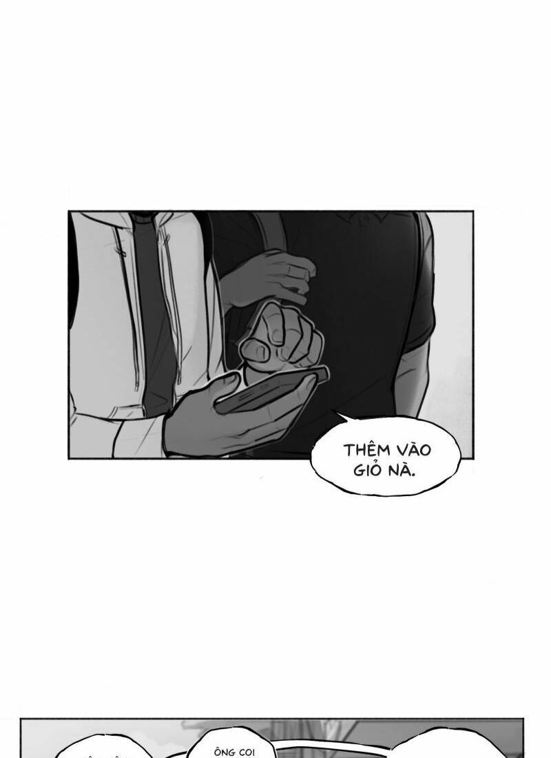page_23.jpg