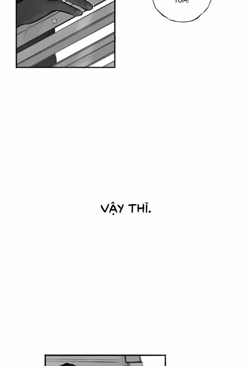 page_39.jpg