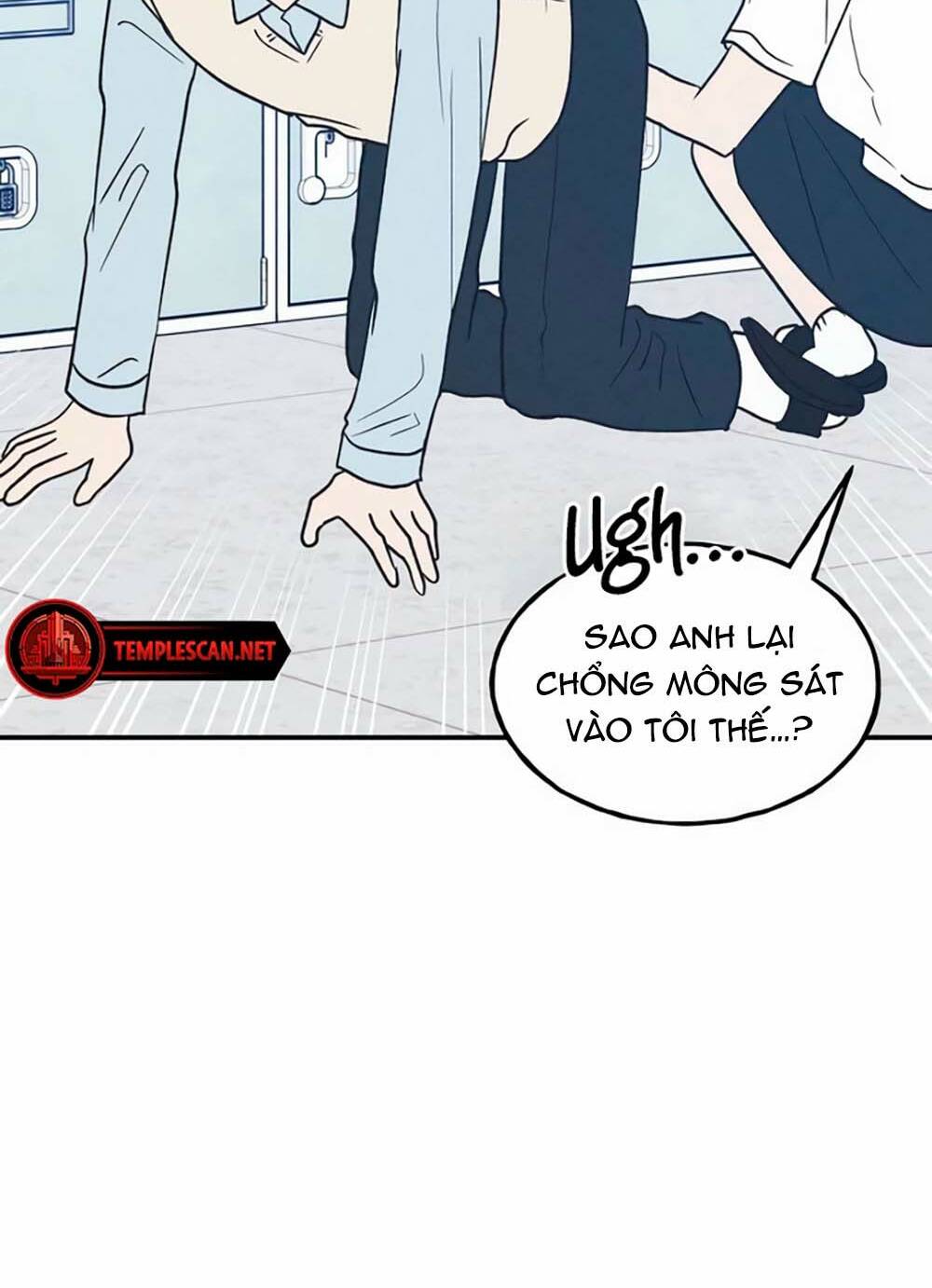 page_17.jpg