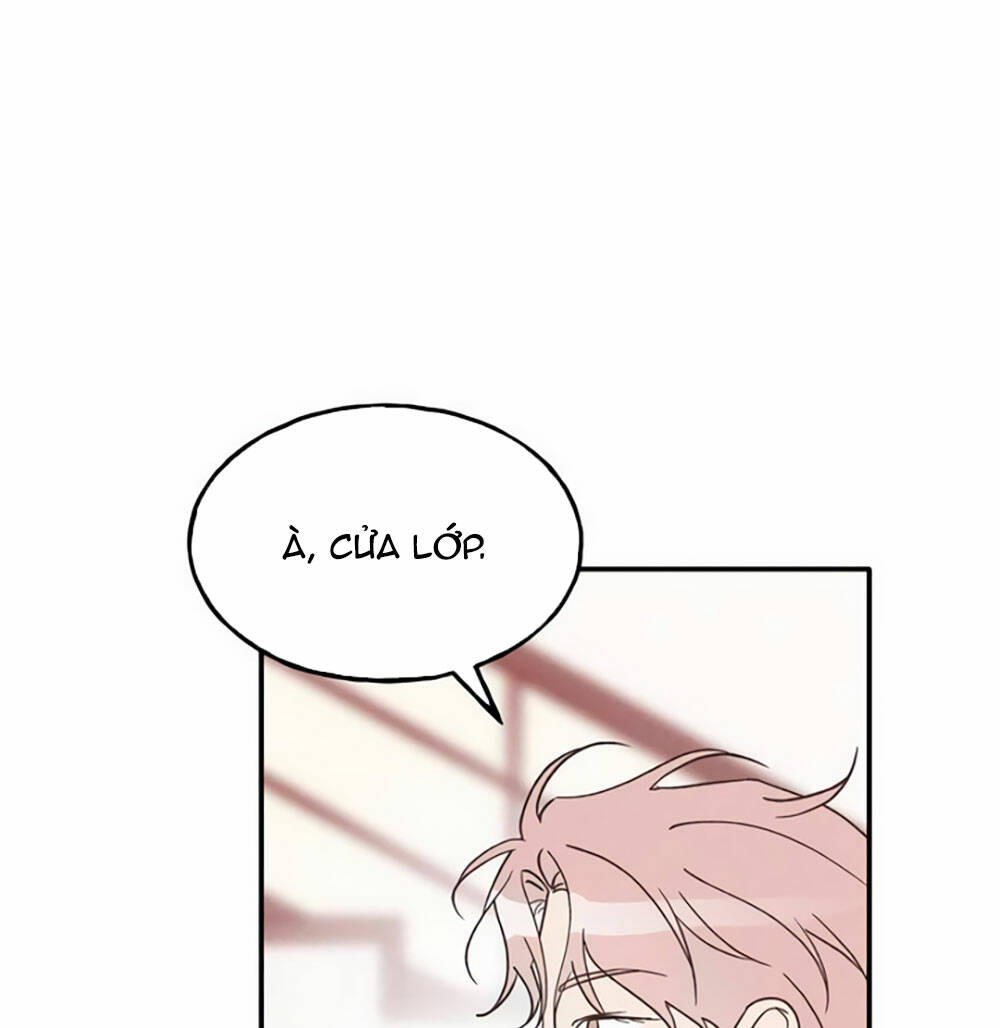 page_19.jpg