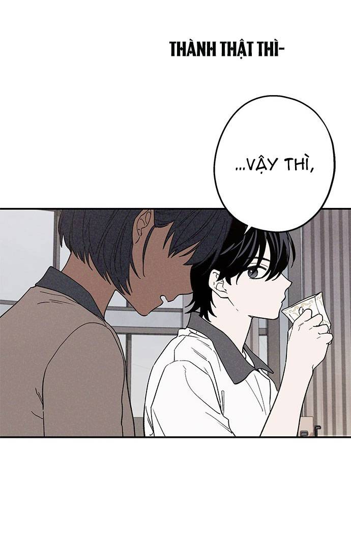 page_28.jpg