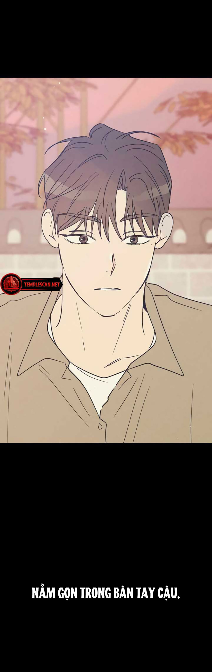 page_17.jpg