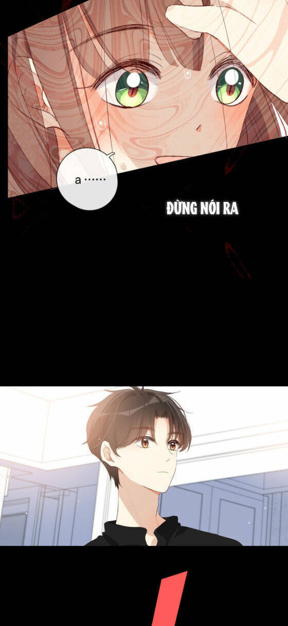 page_28.jpg