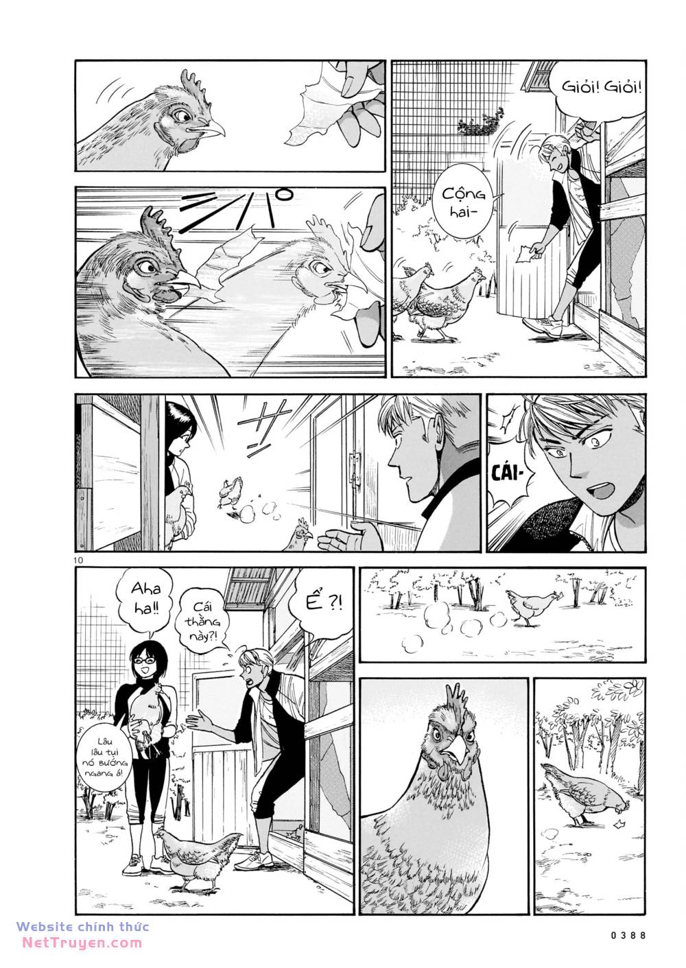 page_11.jpg