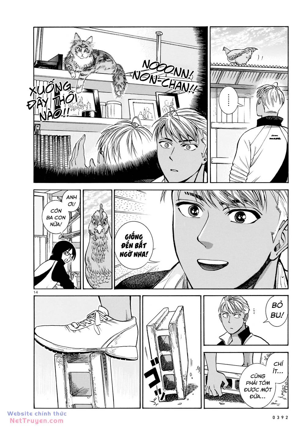 page_15.jpg
