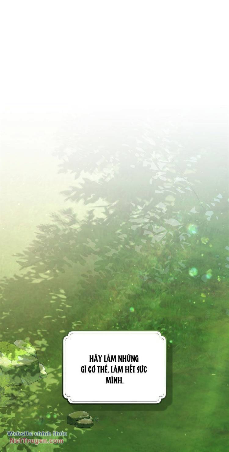page_26.jpg