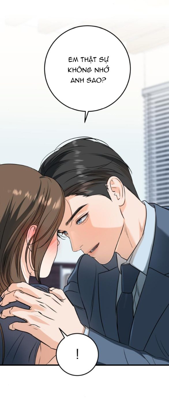 page_19.jpg