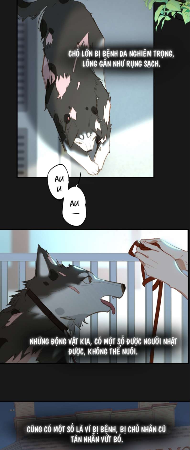 page_8.jpg