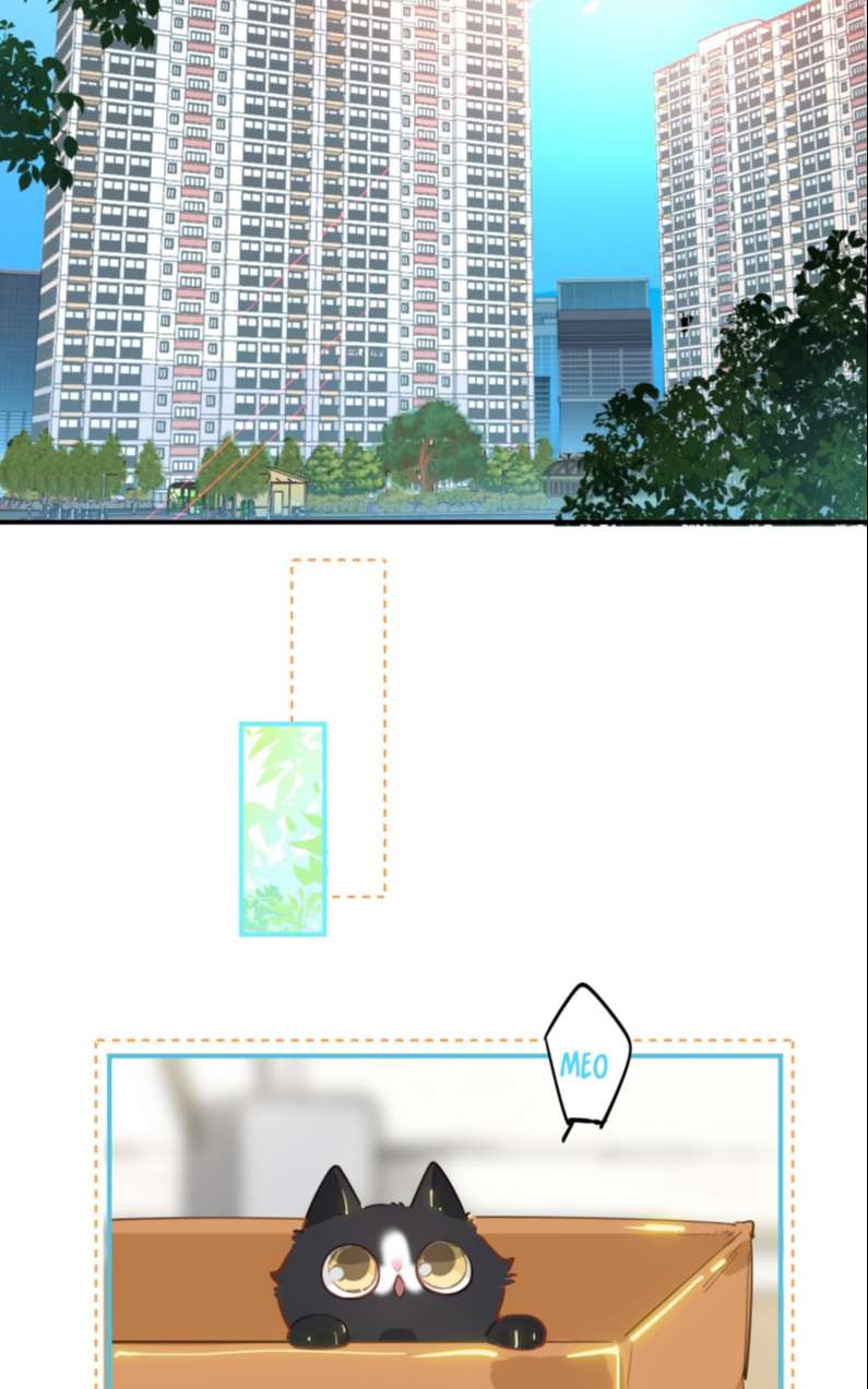 page_12.jpg