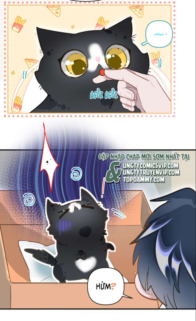 page_26.jpg
