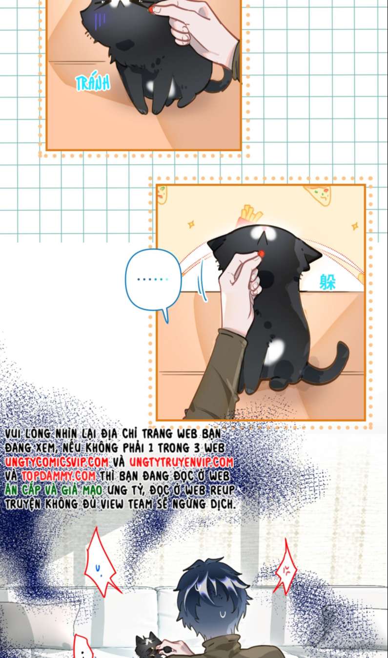 page_28.jpg