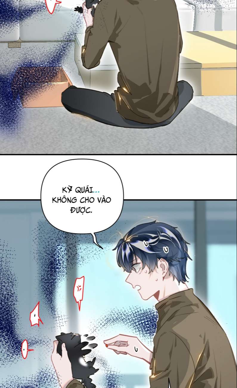 page_29.jpg