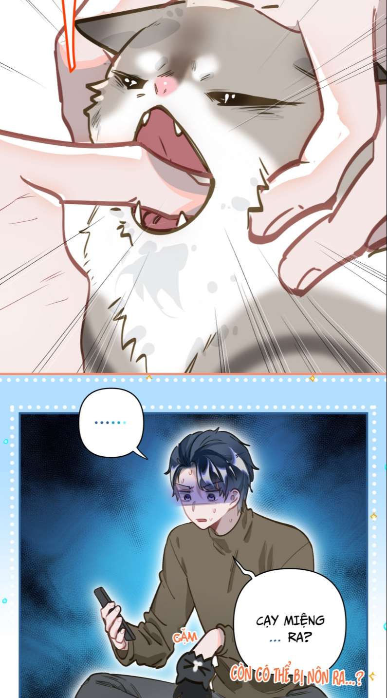 page_33.jpg