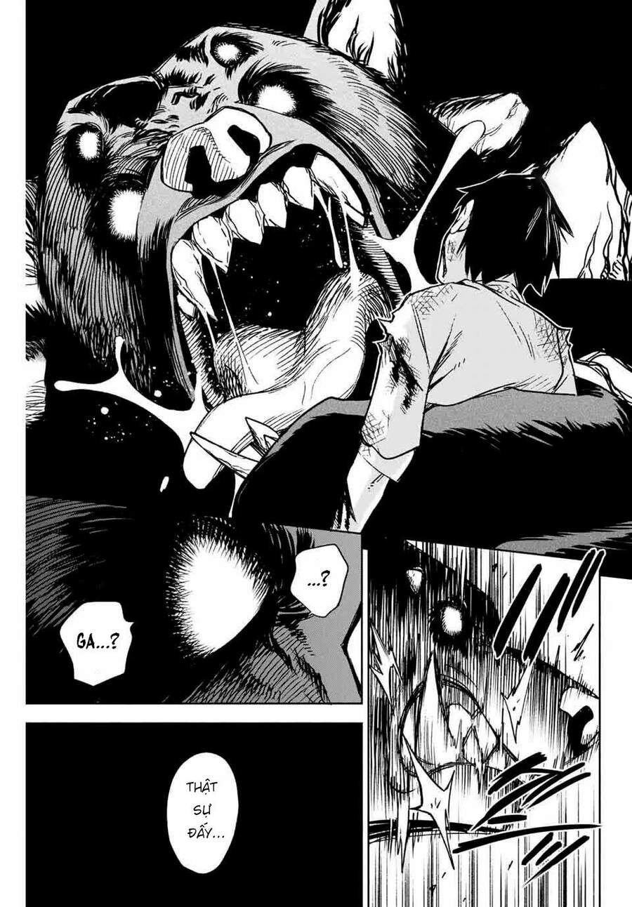 page_19.jpg