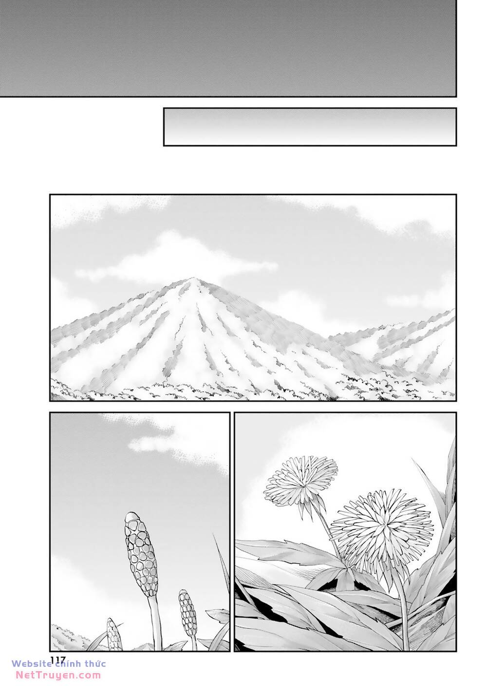 page_35.jpg