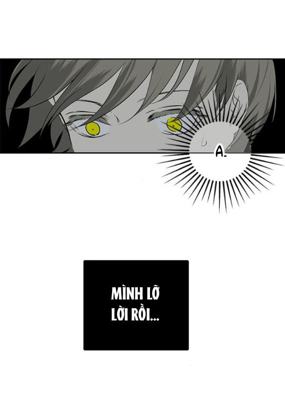 page_20.jpg
