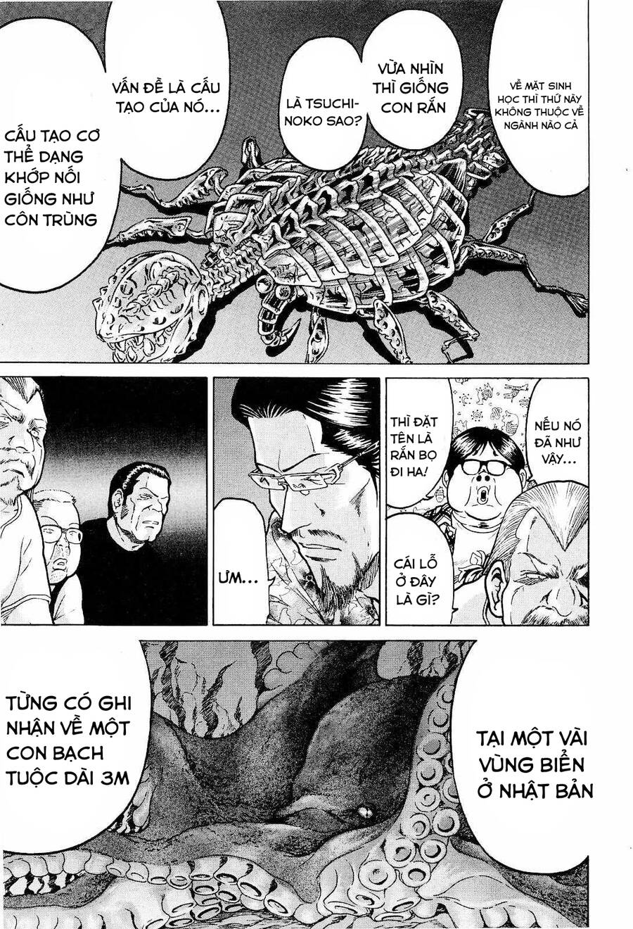 page_17.jpg