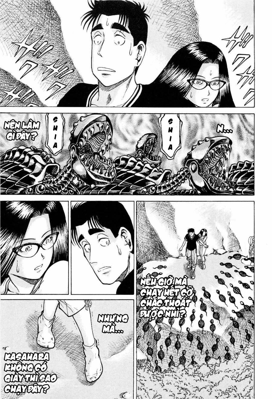 page_22.jpg