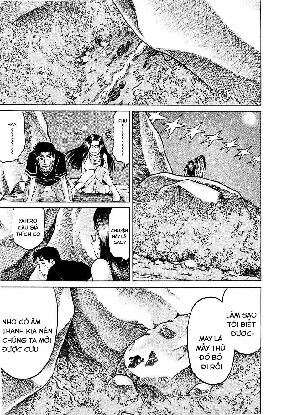 page_11.jpg