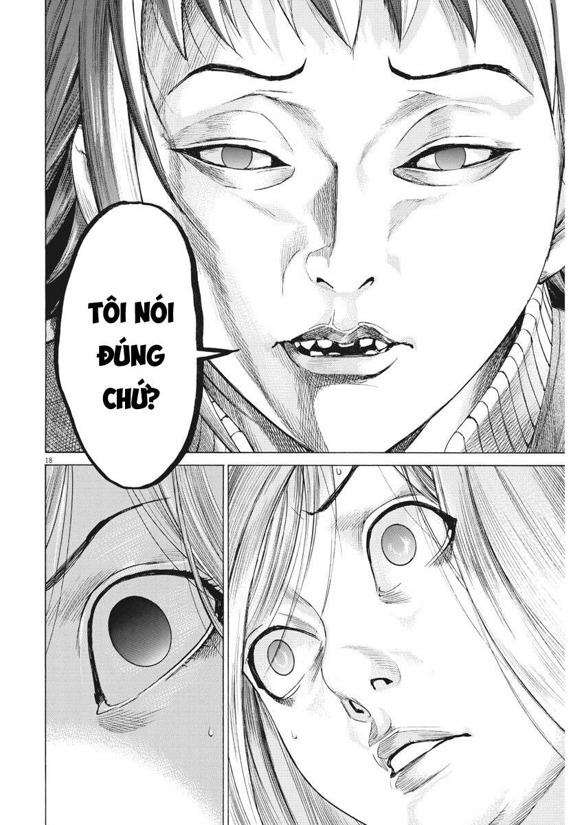 page_19.jpg