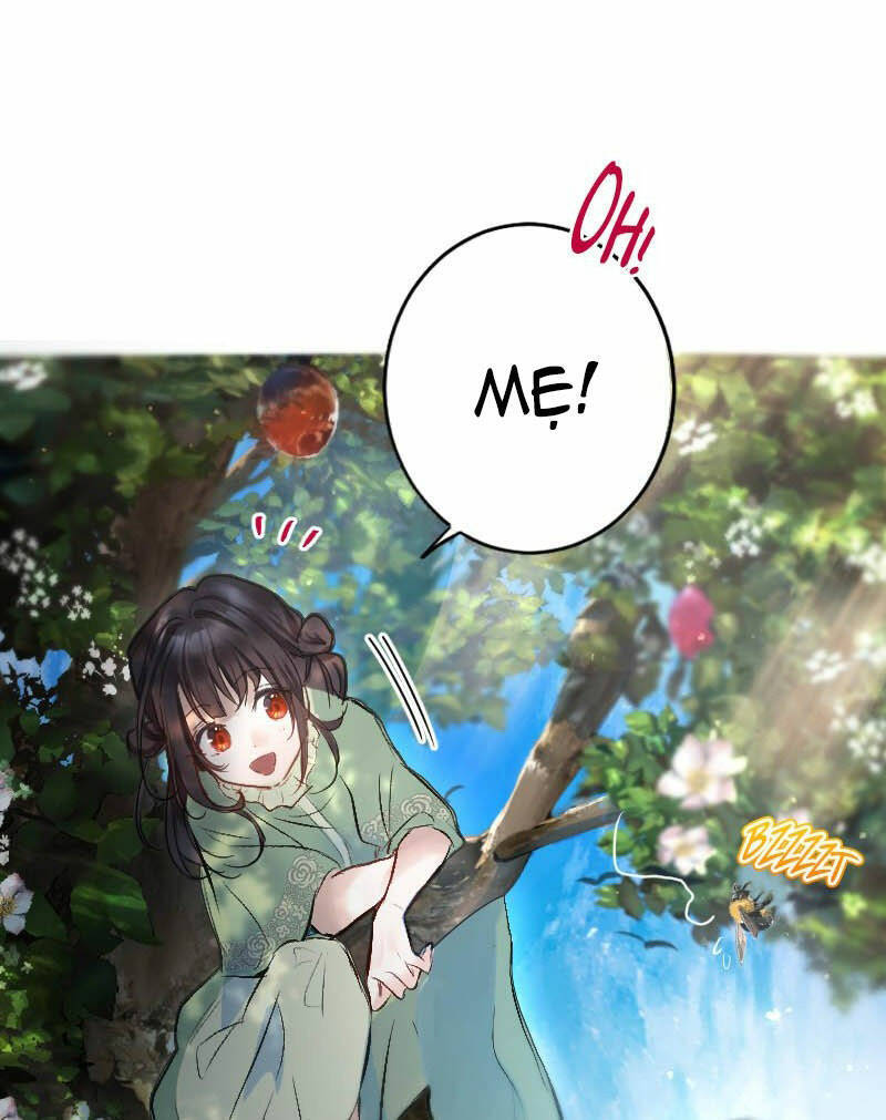 page_25.jpg