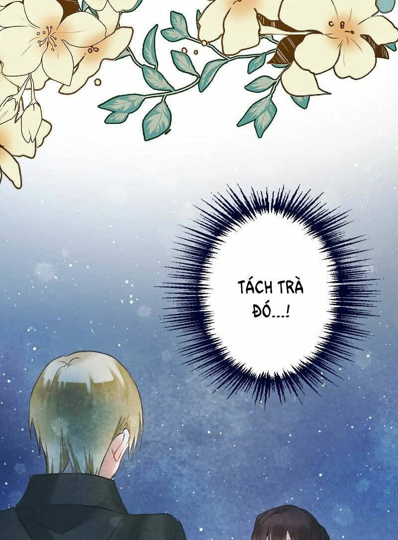 page_19.jpg