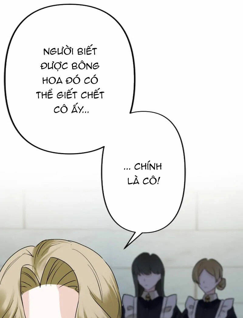 page_37.jpg
