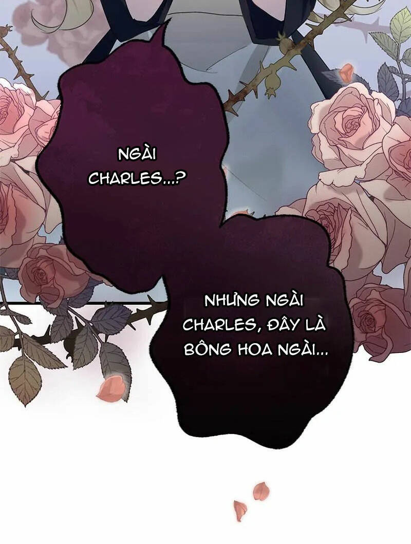 page_25.jpg