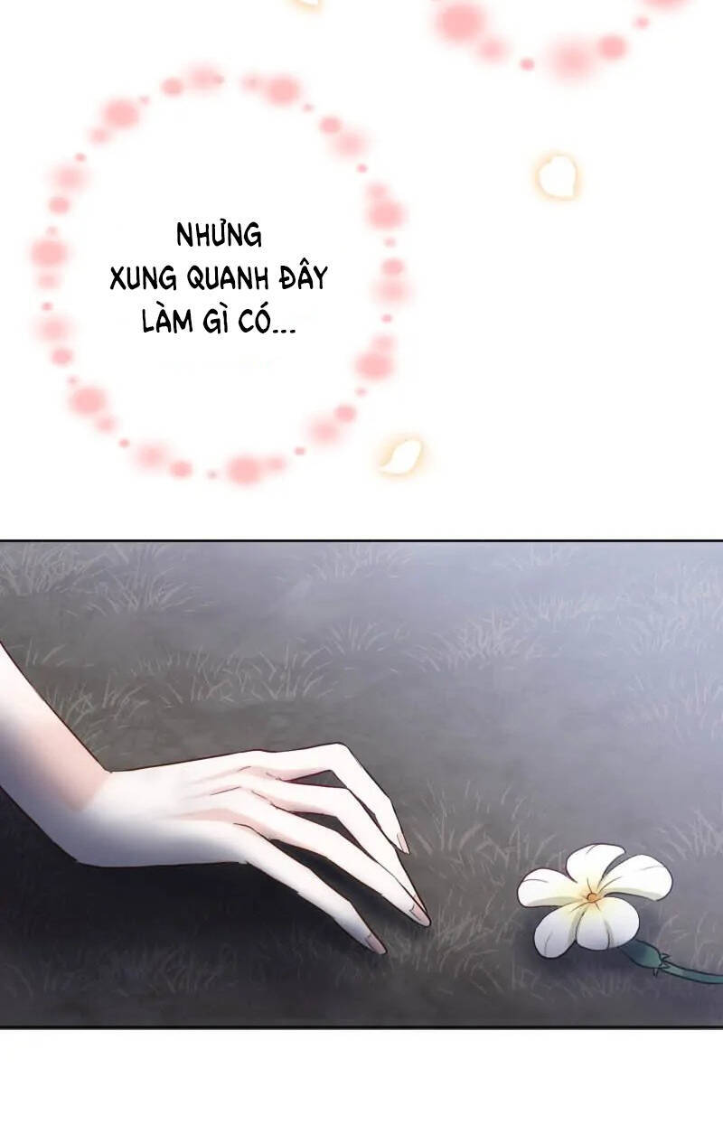 page_26.jpg