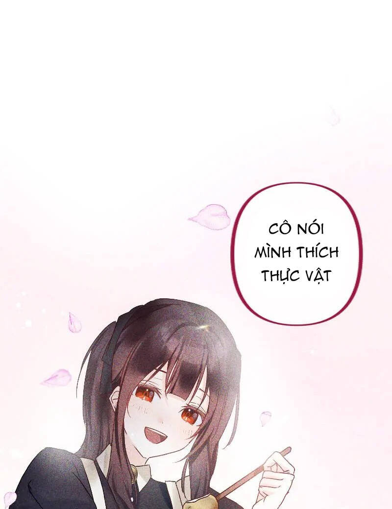 page_29.jpg