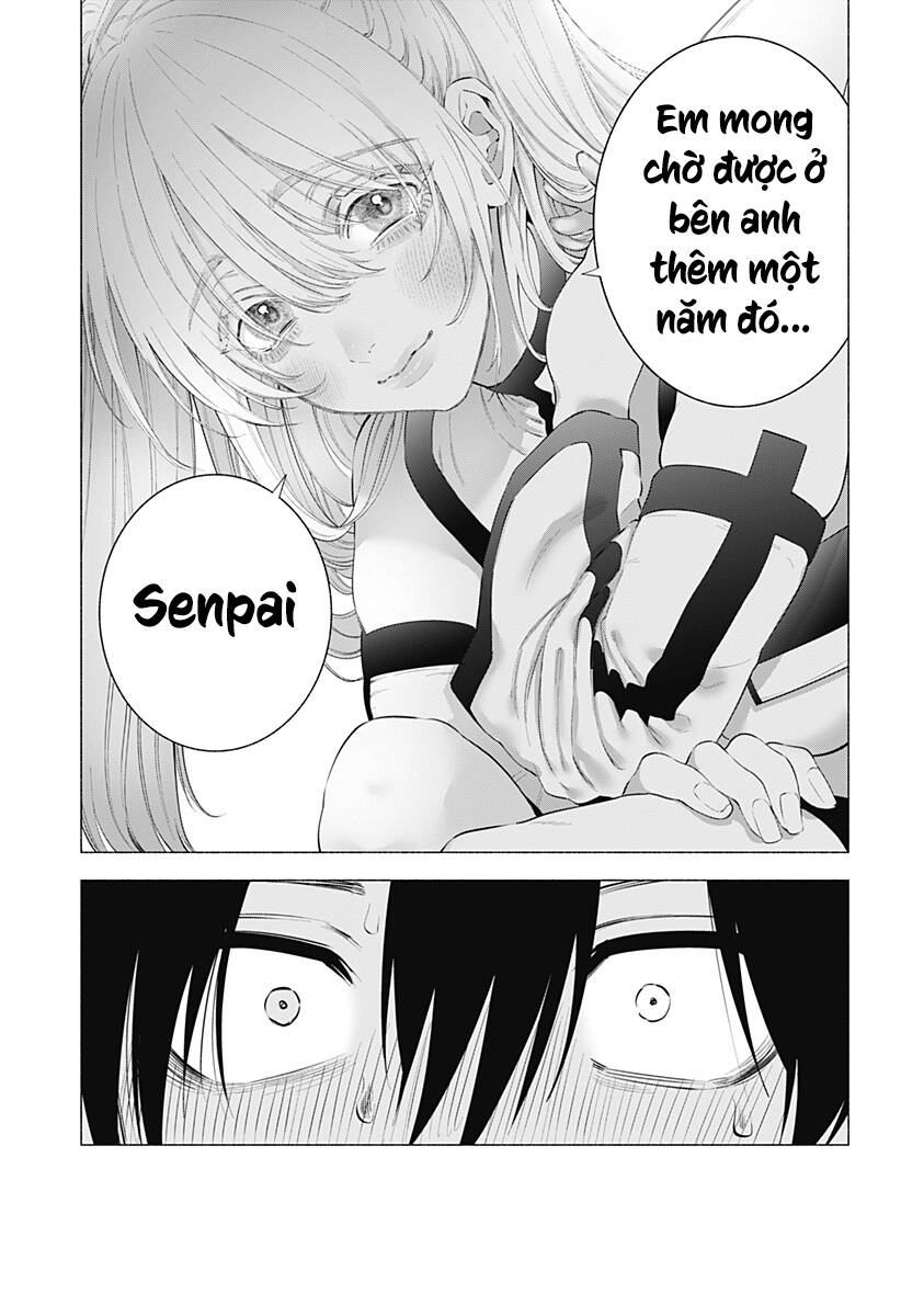 page_19.jpg