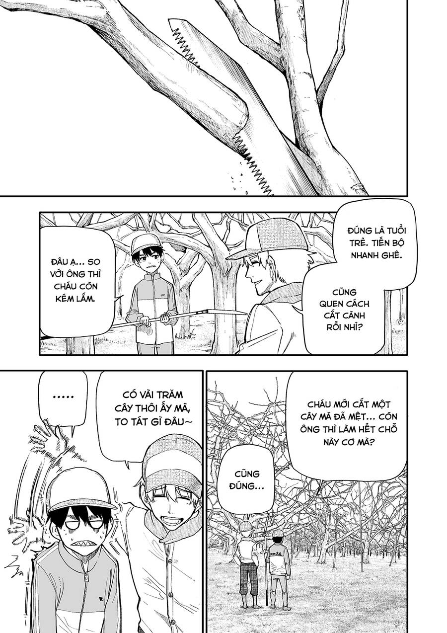 page_4.jpg