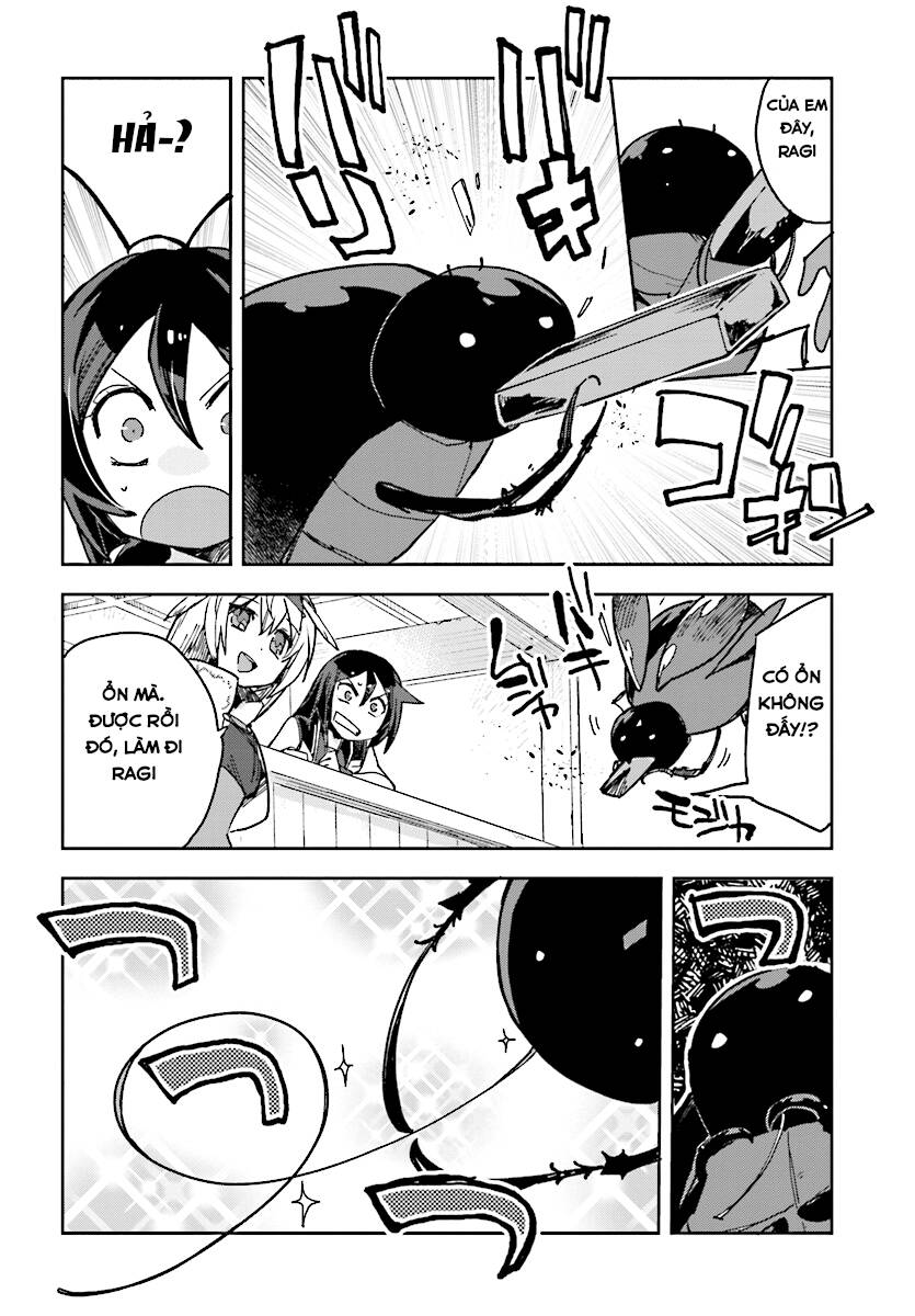 page_13.jpg