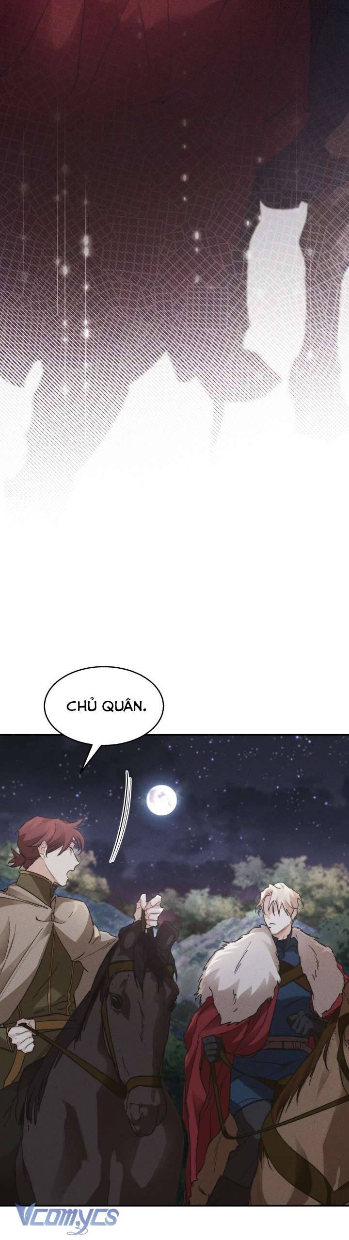 page_21.jpg