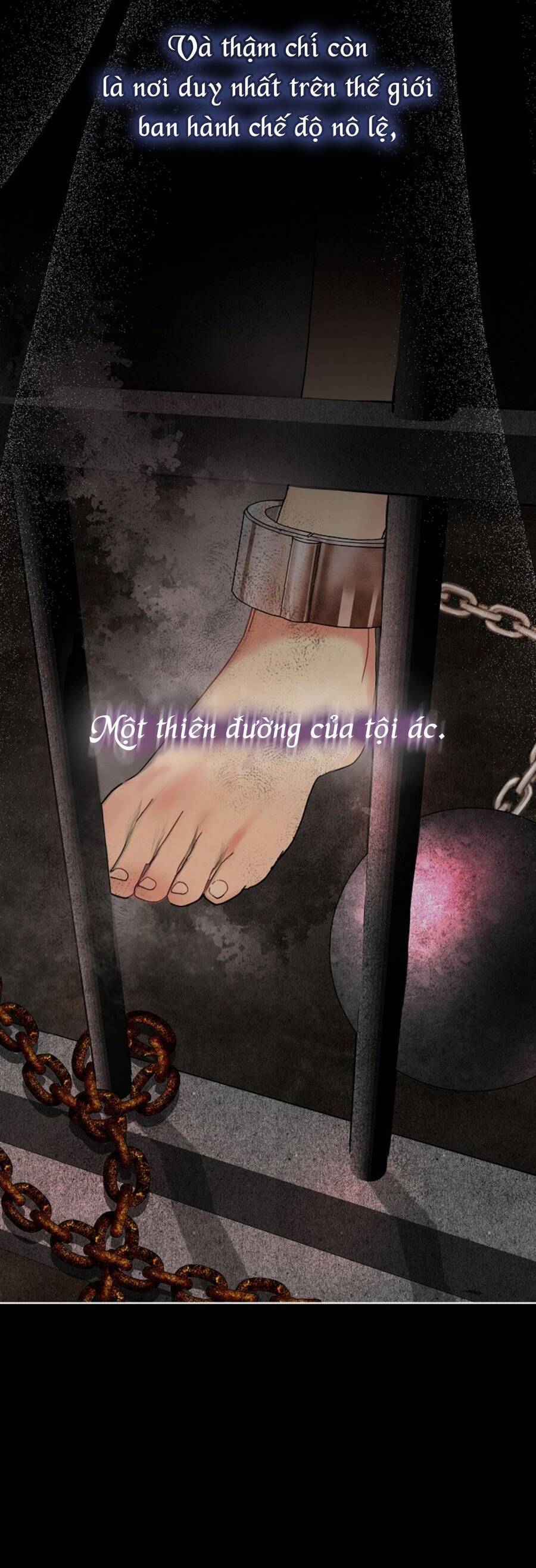page_35.jpg