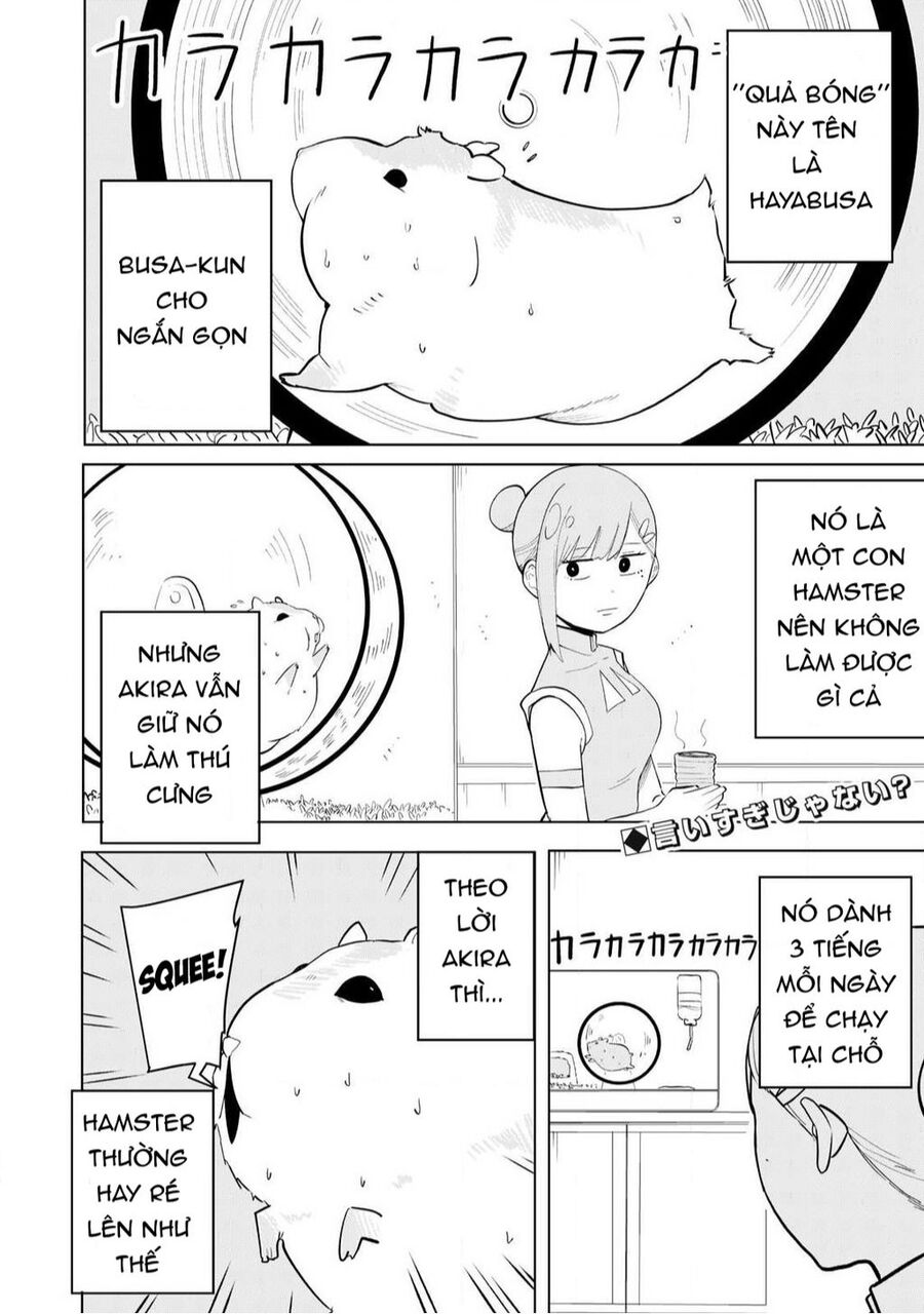 page_19.jpg