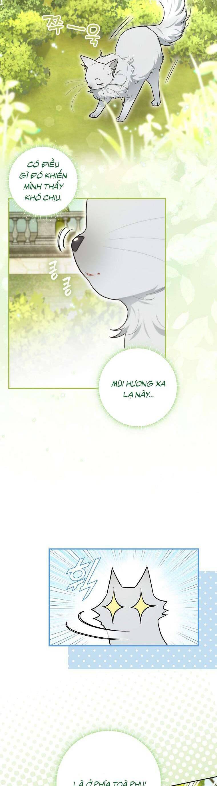 page_37.jpg