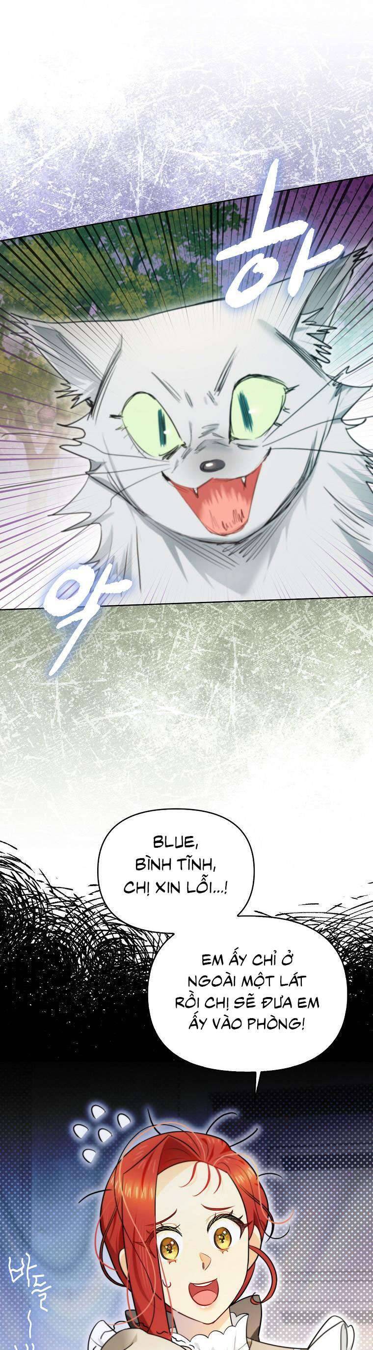 page_0.jpg