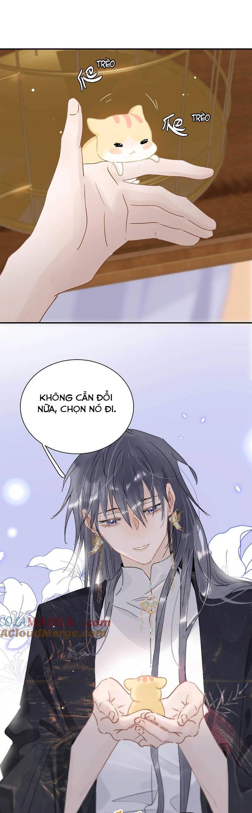 page_17.jpg