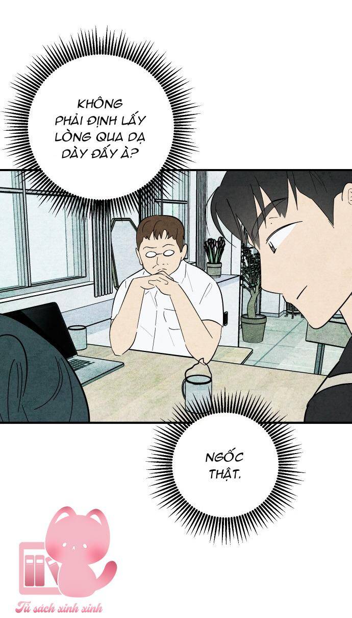 page_19.jpg