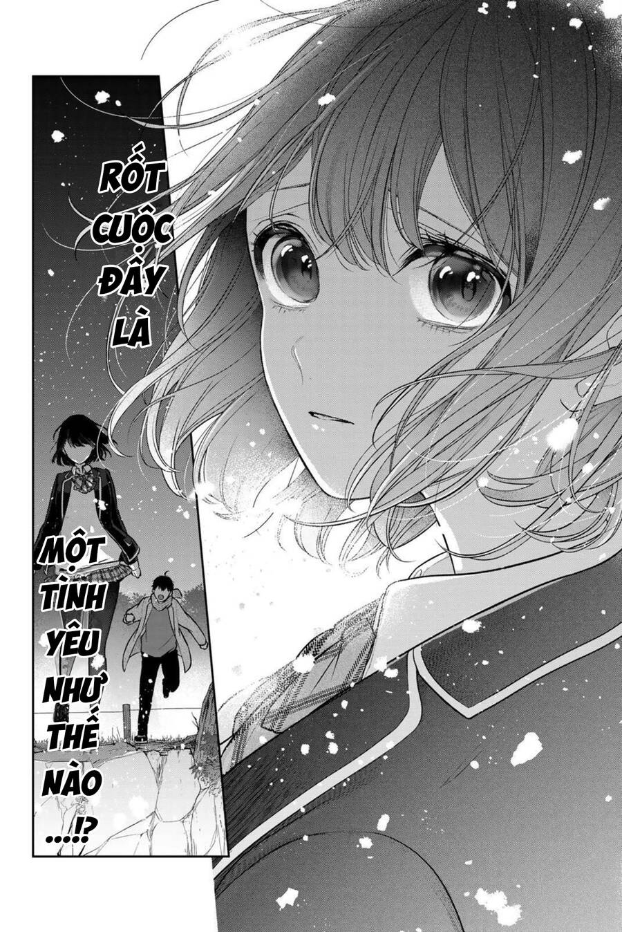 page_13.jpg