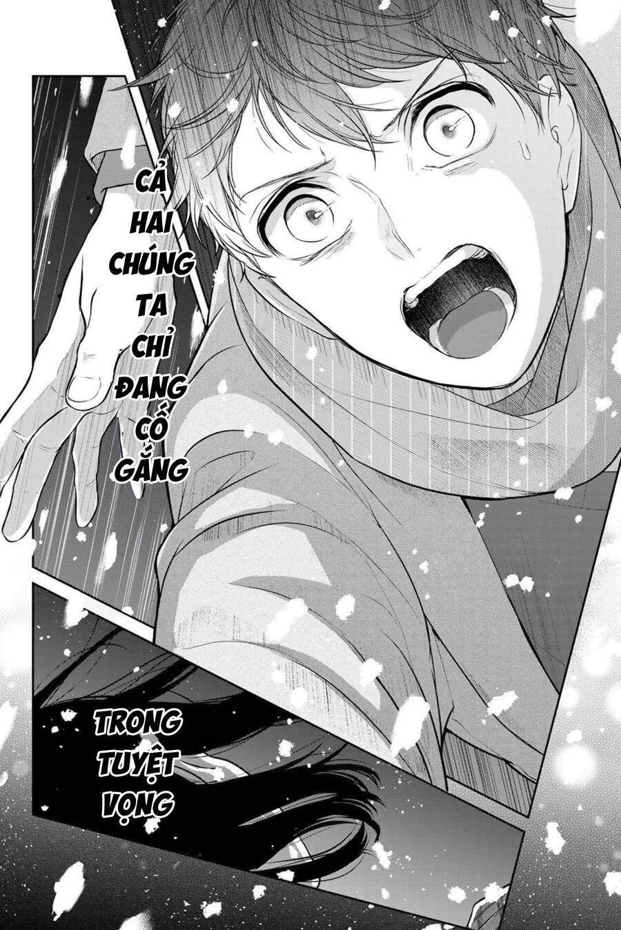page_15.jpg