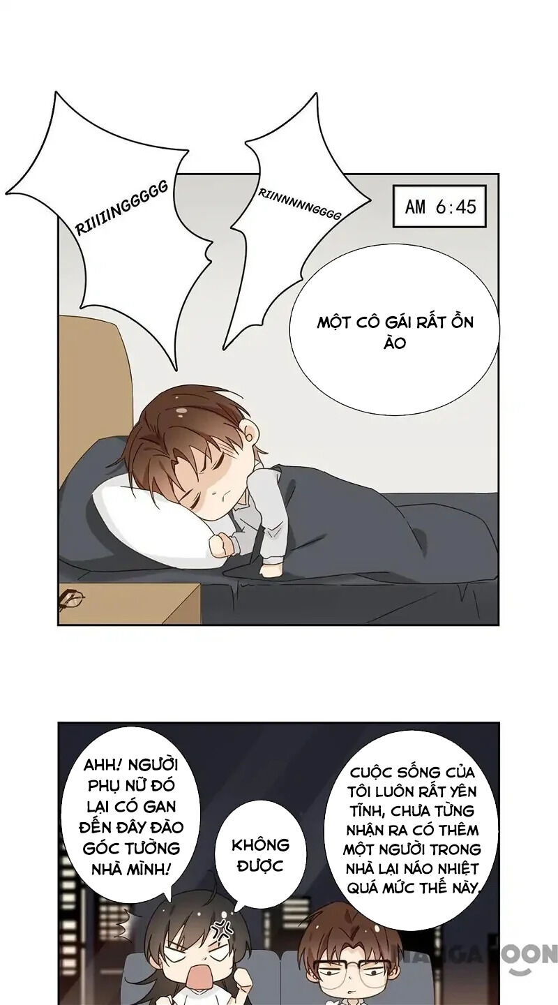 page_19.jpg