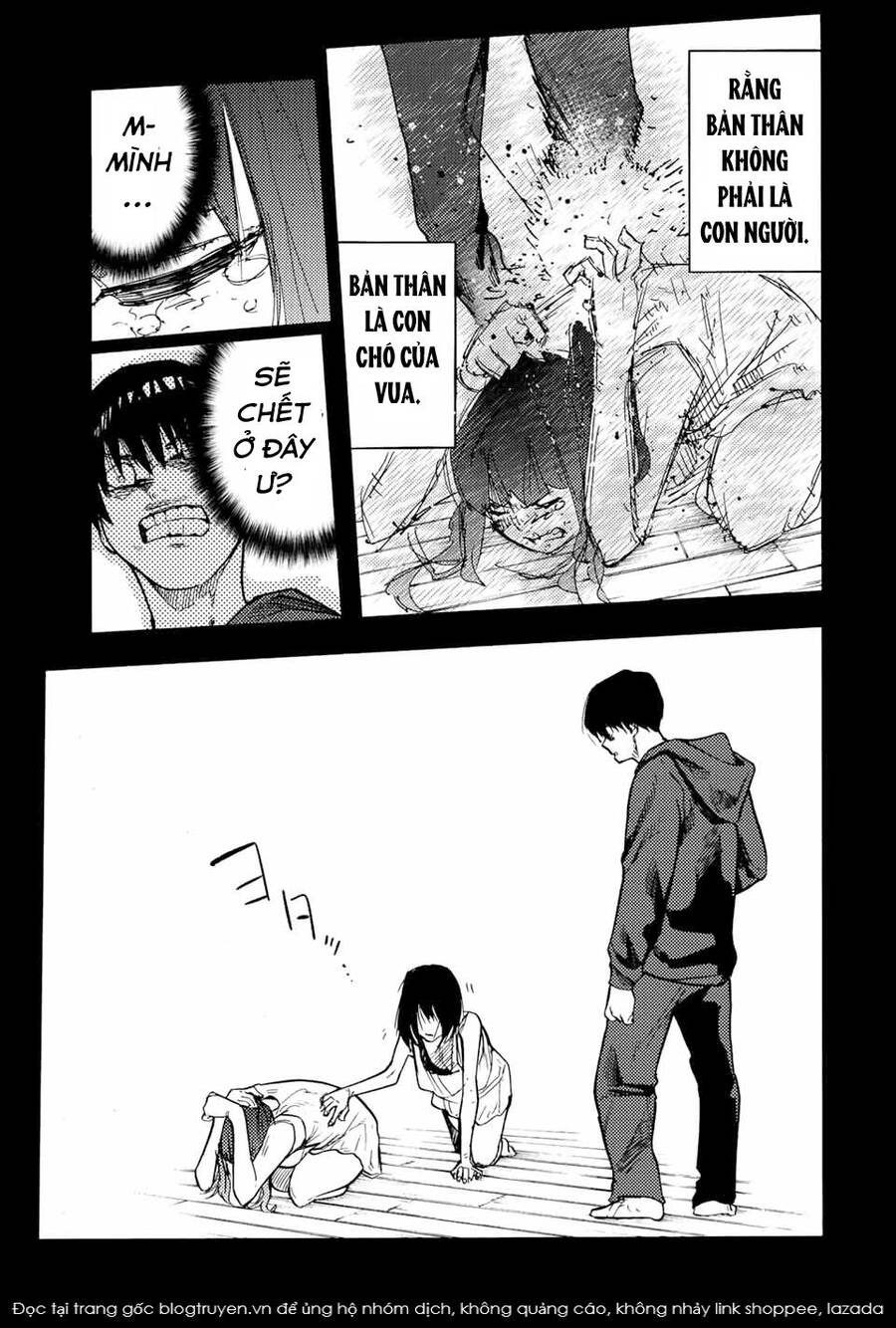 page_13.jpg