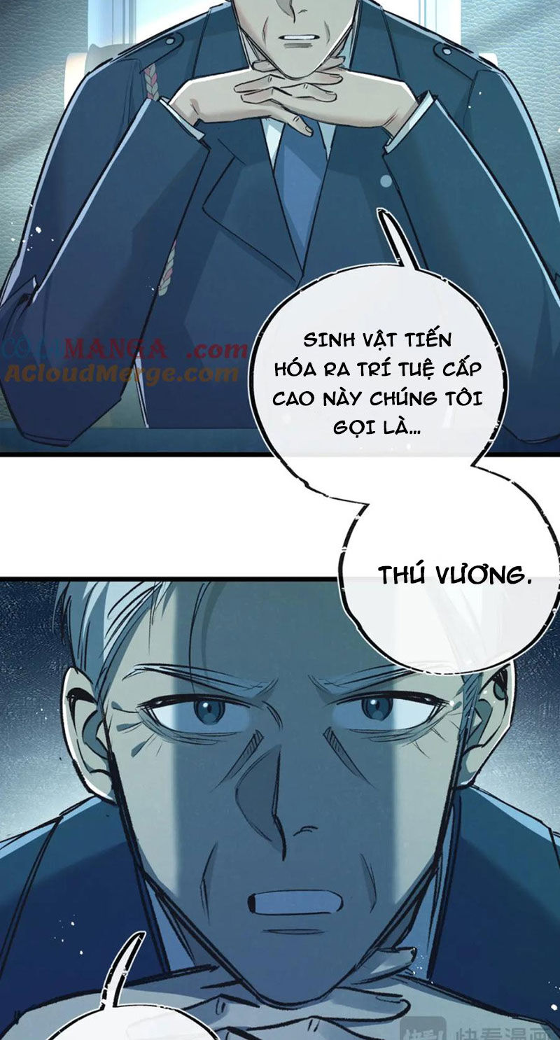 page_29.jpg